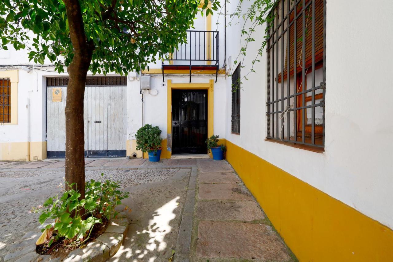 Апартаменты San Basilio, Parking Incluido Junto Al Casco Historico Кордова Экстерьер фото